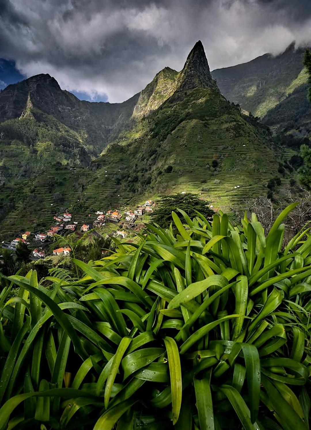 The Artist House Hotel Arco da Calheta  Phòng bức ảnh